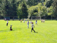 /album/besiedka/20260602-102958-jpg/